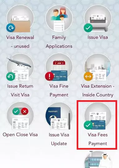 Pay Visa Fees