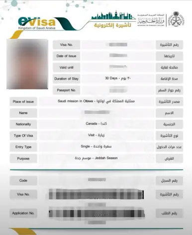 Receive saudi eVisa