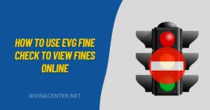 How to Use EVG Fine Check to View Fines Online